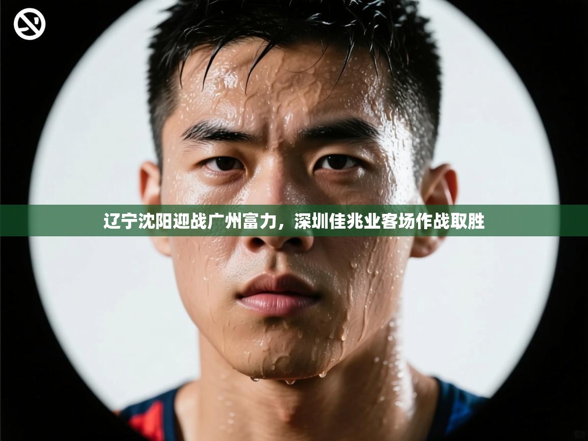 云开体育入口-辽宁沈阳迎战广州富力，深圳佳兆业客场作战取胜