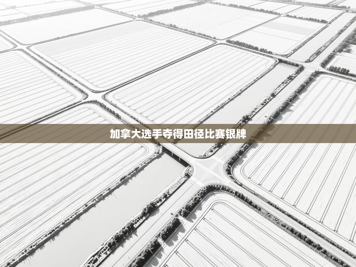 开运体育入口-加拿大选手夺得田径比赛银牌